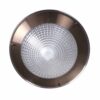 Raak ceiling lamp copper glass